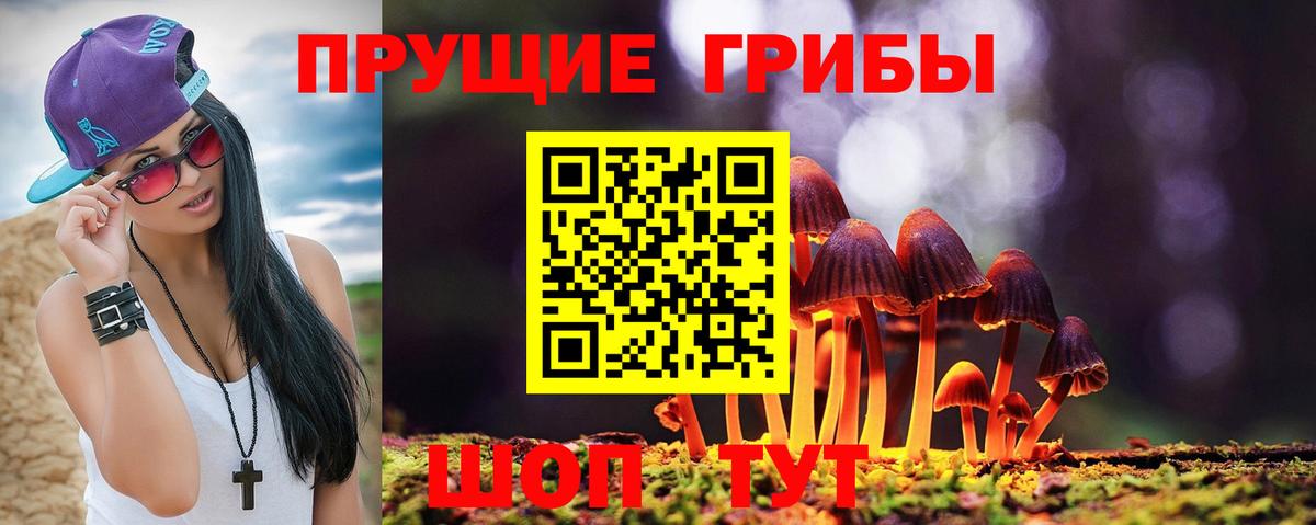 Псилоцибиновые грибы Psilocybe  Вход с VPN  Богданович 