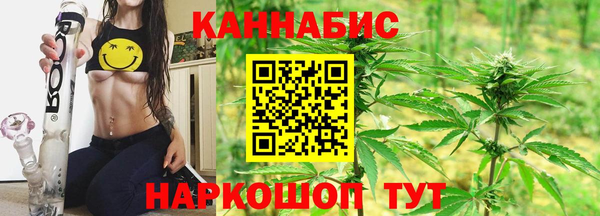 Канабис сатива Богданович